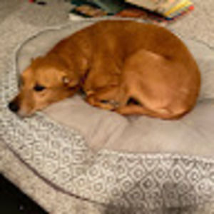 Meet your Posher, Lori